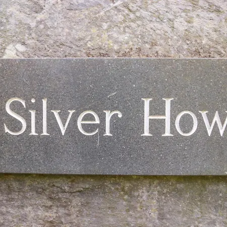 Silver *