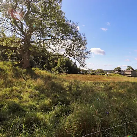 Silver آمبيلسايد